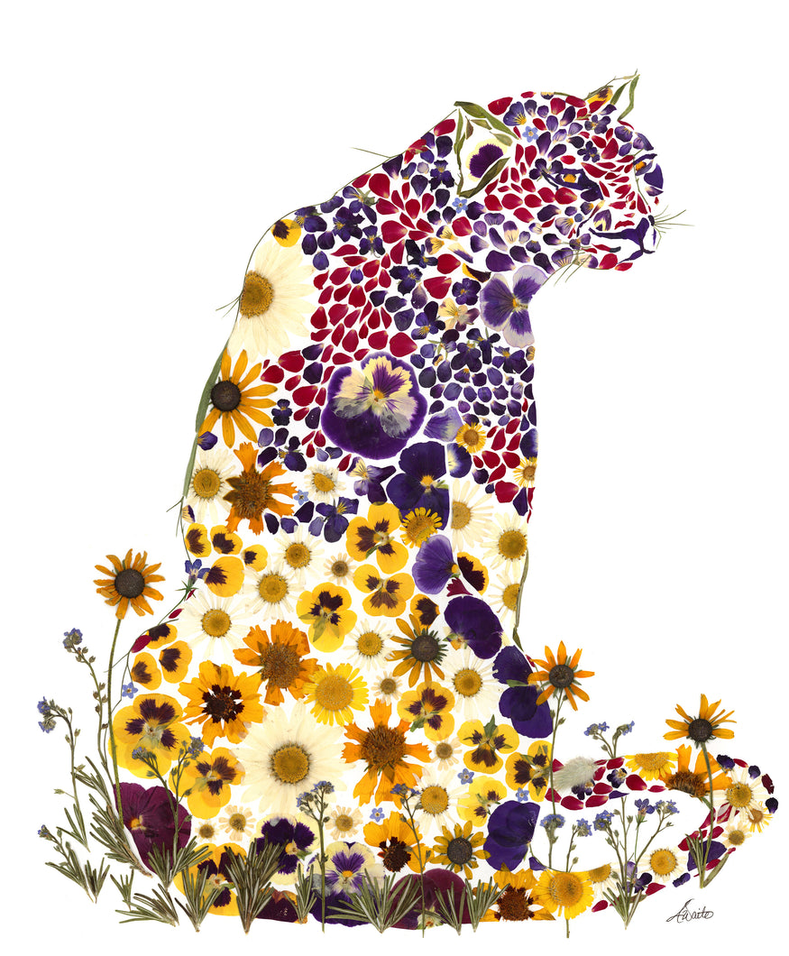 Leopard in Full Bloom